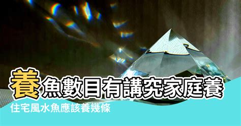 魚的數量 風水|陽宅風水【養風水魚】要養幾多條？